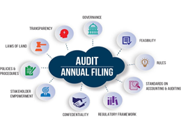 Audit and compliance focused business support